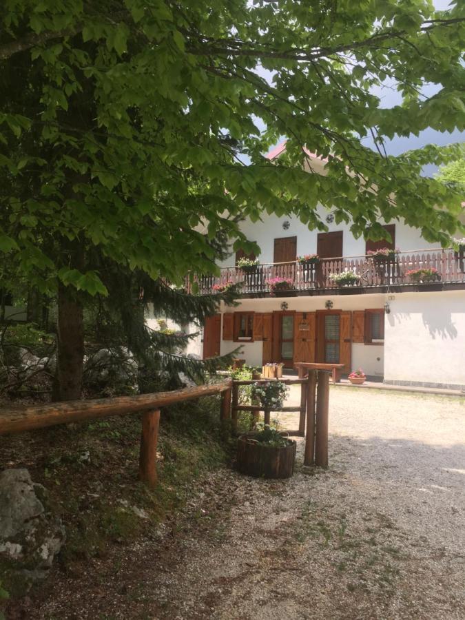 Ferienwohnung Residenze Ca Del Bosco Piancavallo Exterior foto